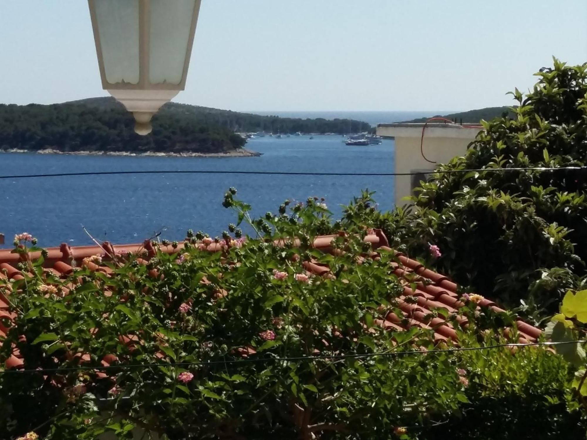 Apartments Vucetic Hvar Town Rom bilde